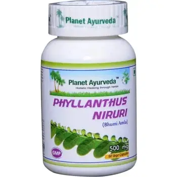 Planet Ayverda Liver, Kidney Stones, Hepatitis – Chanca Piedra (Phyllanthus Niruri, Bhumi Amla) Caps